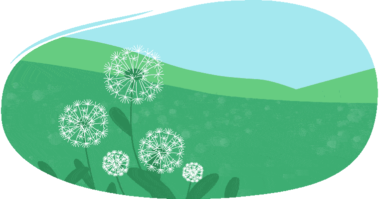 Dandelions blowing in the wind.