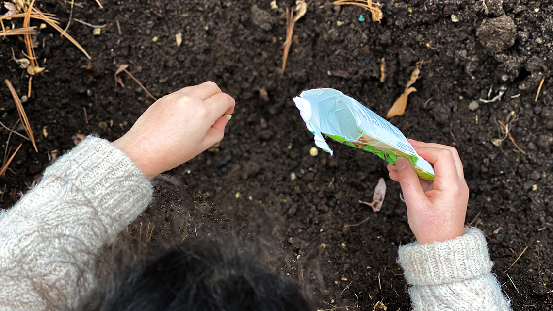 A learner is planting seeds in soil.