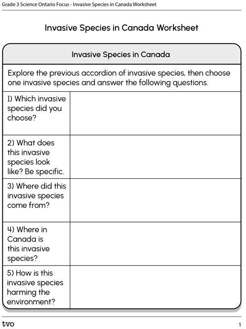 Invasive Species in Canada Worksheet