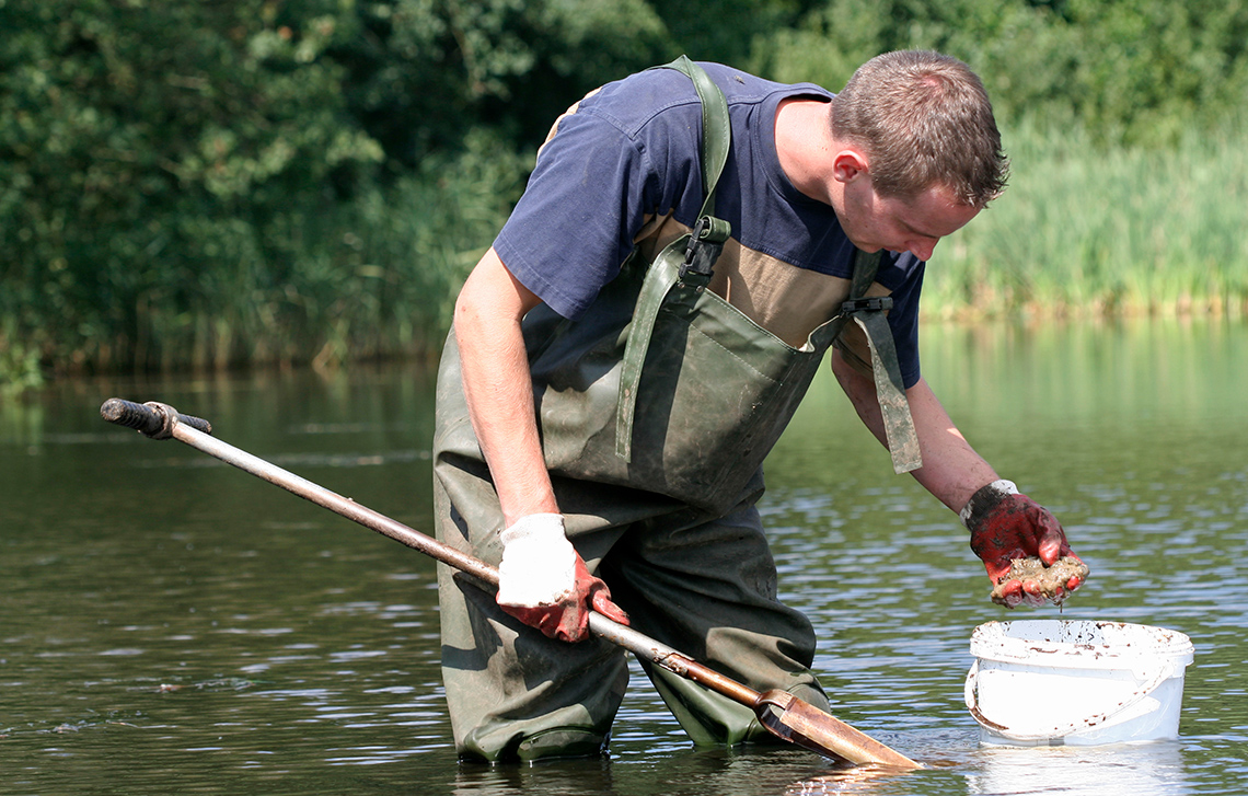 A scientist standing in water collecting mud samples.