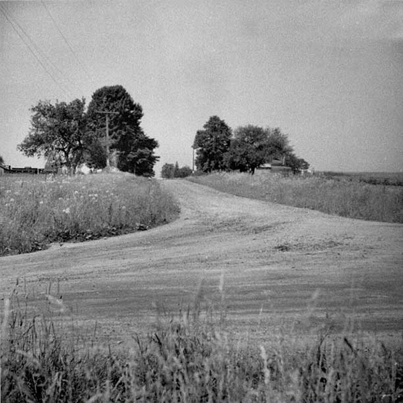 A black-and-white photo of a dirt road lined with trees going through a field.