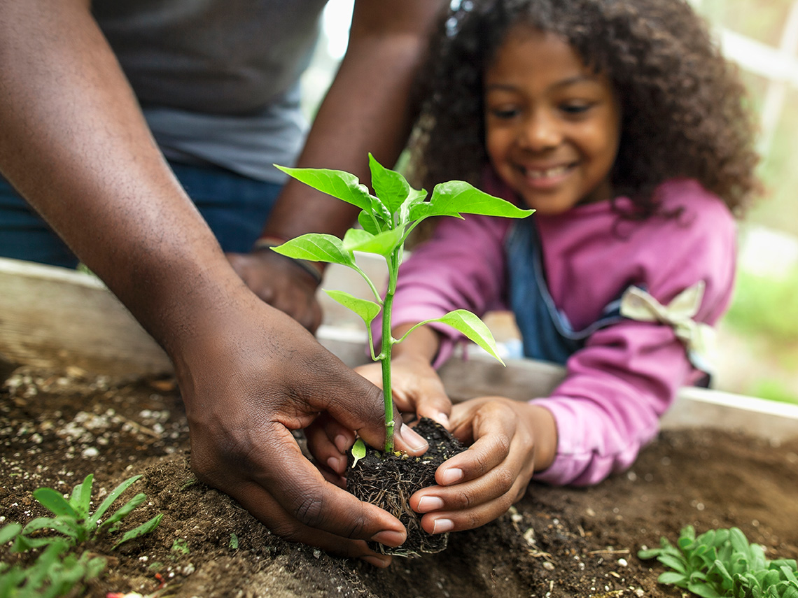 An adult’s hands helps a child place a plant into soil.