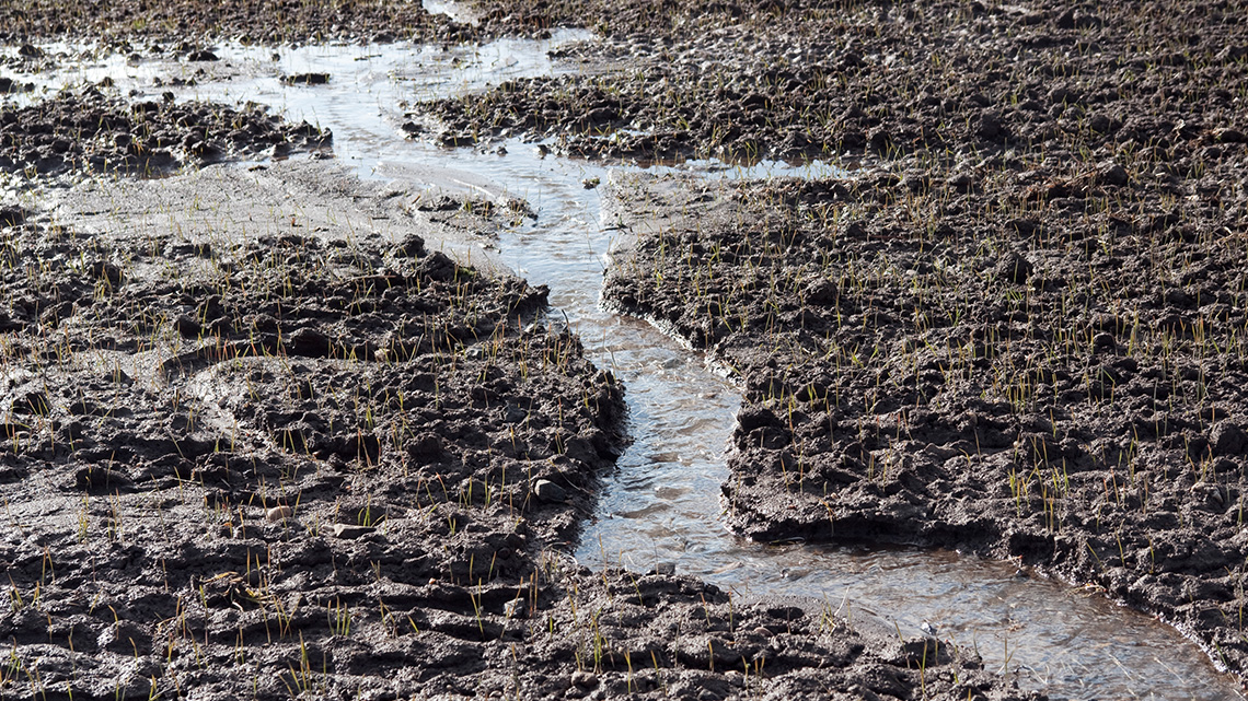 Water Erosion Rainfall flows in a small stream through soil.