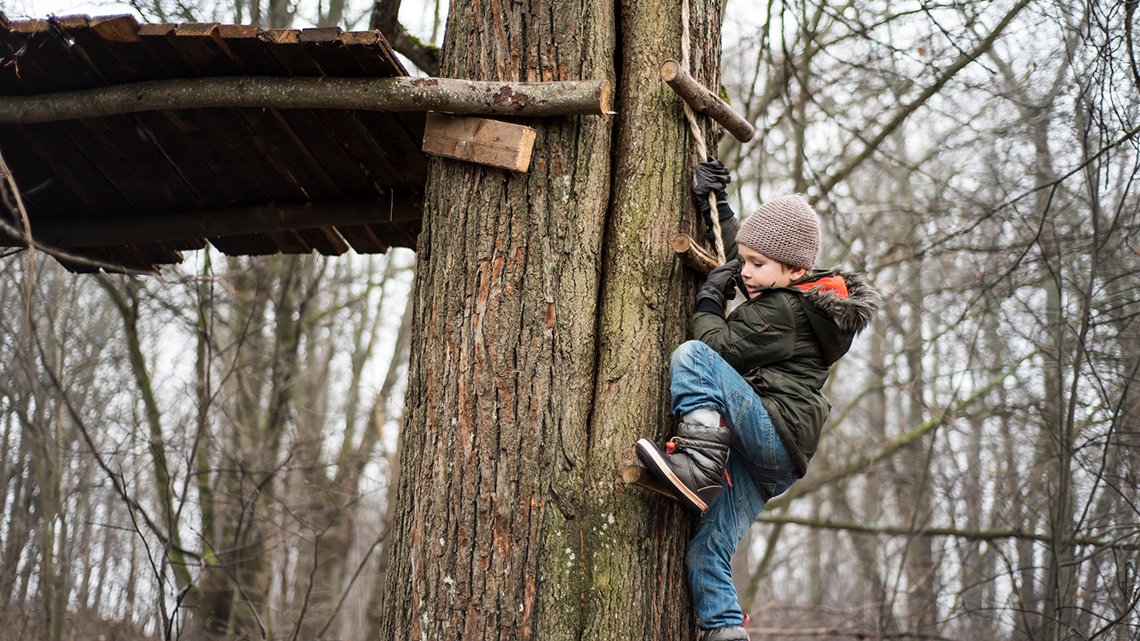 A child climbing a ladder attached to a tree.
