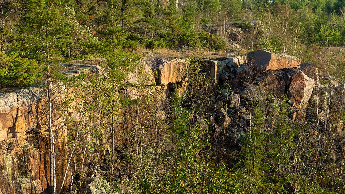 A Canadian Shield rock wall with trees growing at the top of the wall and at the bottom of the wall shown on a sunny day.