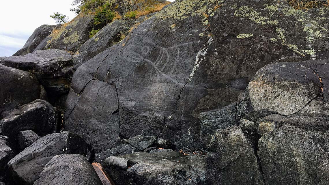 A rock on Vancouver Island has an pictograph of a seal on it from thousands of years ago.