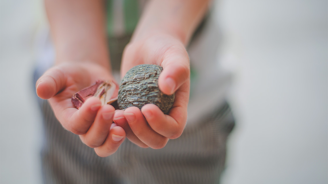 A young person holds out two rocks, one in each hand. The rock on the left is red and bumpy. The rock on the right is smooth and black.