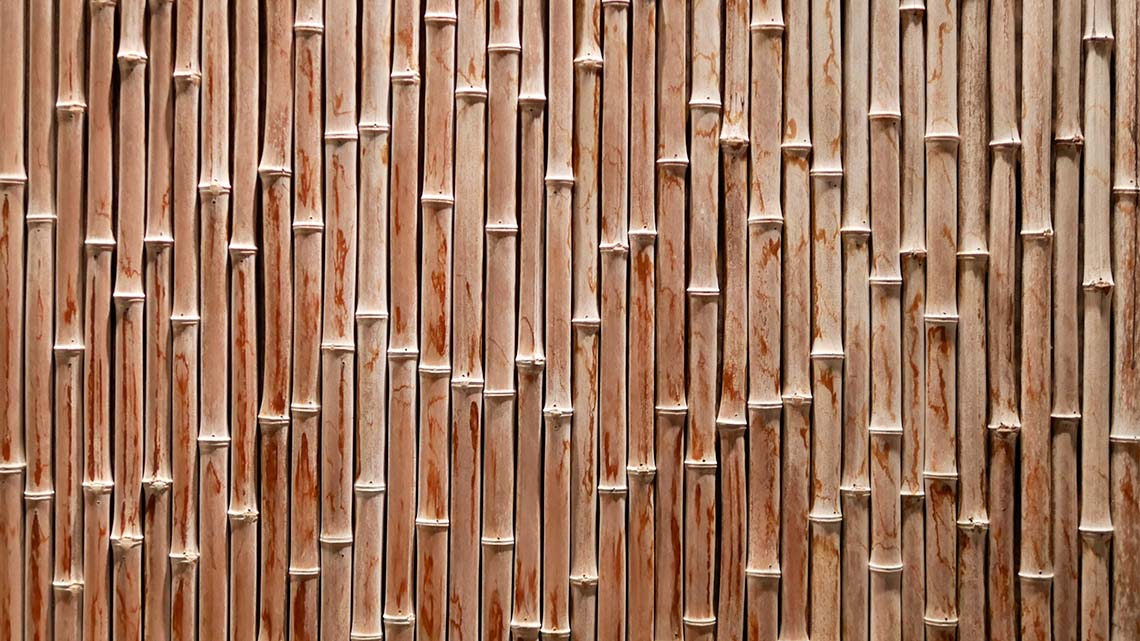 A wall of bamboo.
