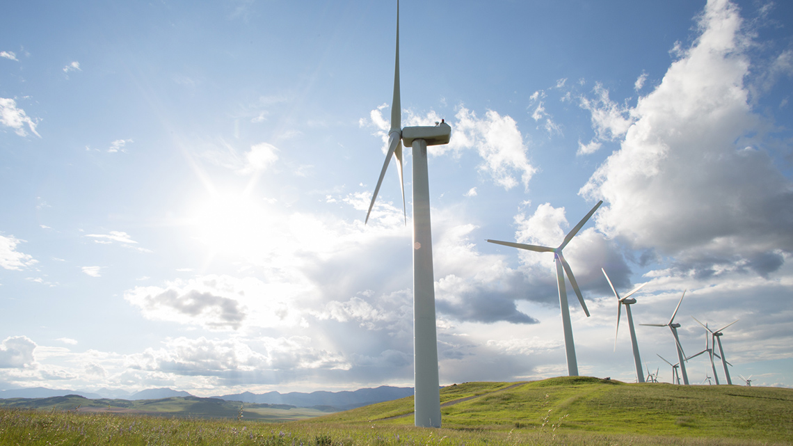 Wind turbines in a meadow.