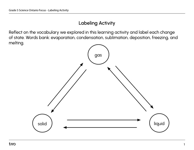Labeling Activity