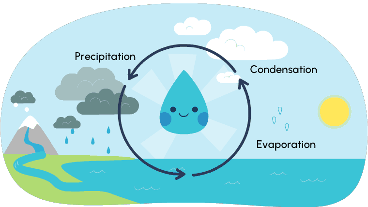 The water cycle showing precipitation, evaporation and condensation.