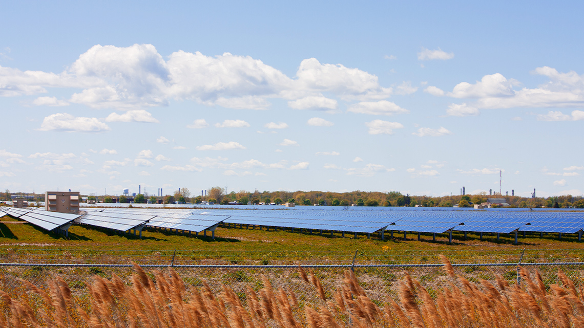 Solar panels at a solar farm. The sky is clear and panels face towards the sun.