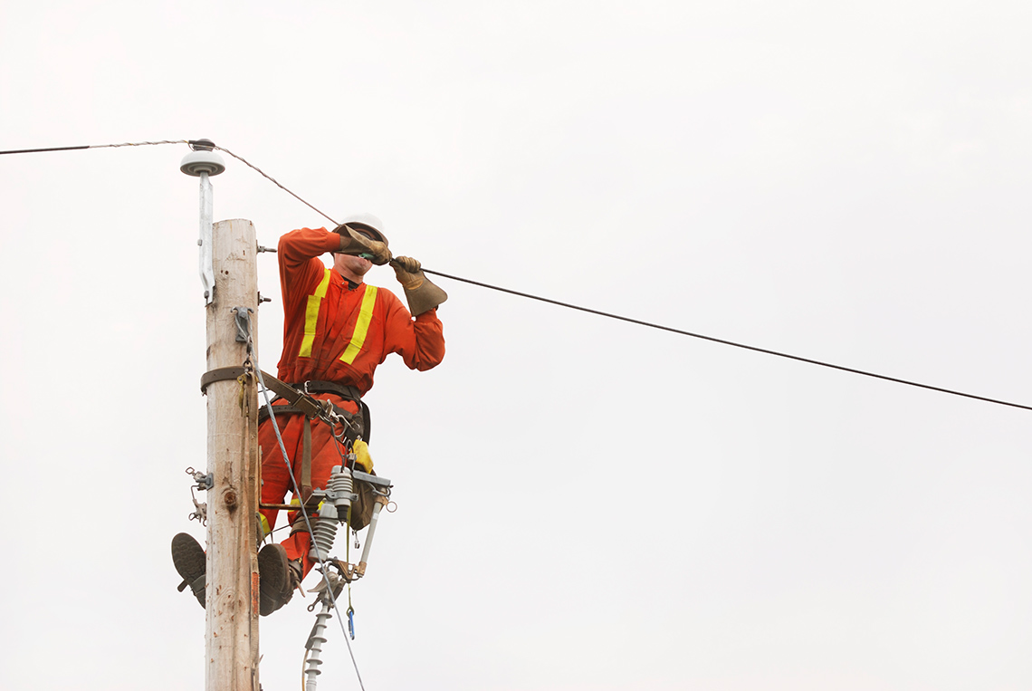 Electrical person