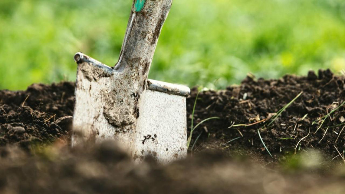 A shovel in a pile of dirt