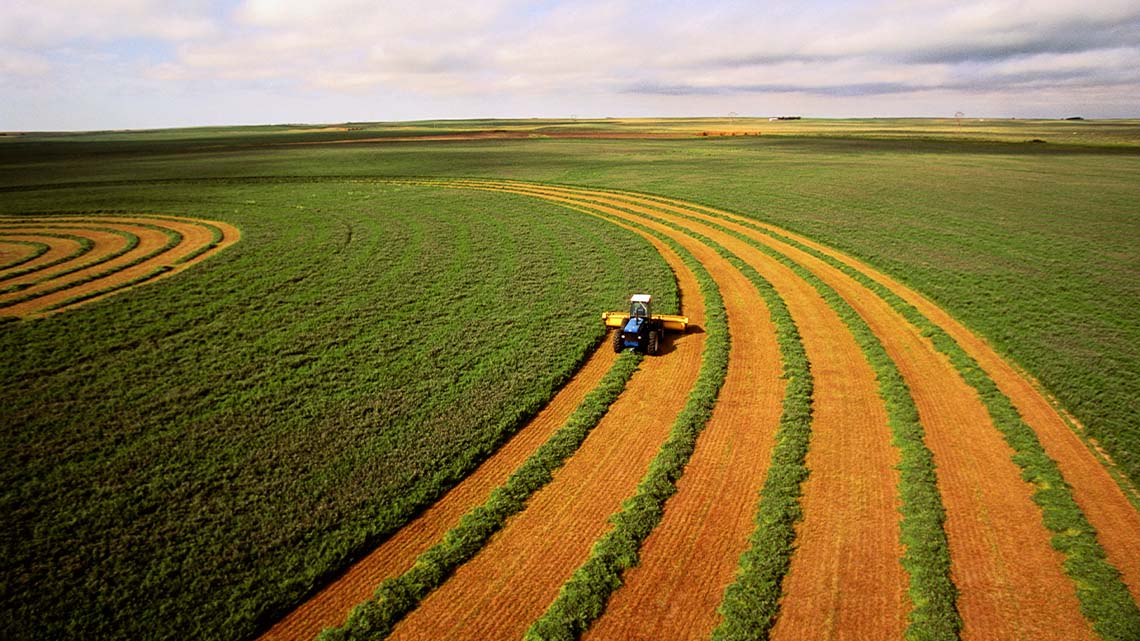 A tractor gathering crops in a field.