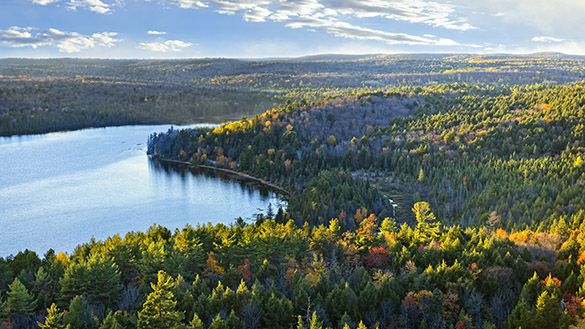 Overhead view of dense forest with hills and large lake.