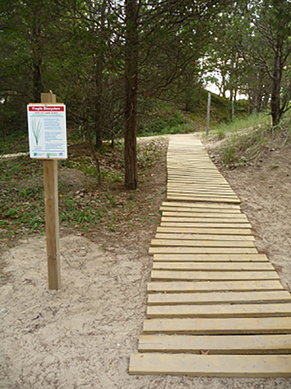 A wooden walkway that is going over a sandy area.