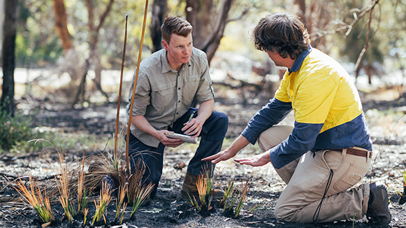 Two people talking while kneeling down beside some tall grasses.