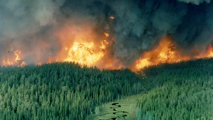 Forest fire near Red Lake, Ontario in May 1986.
