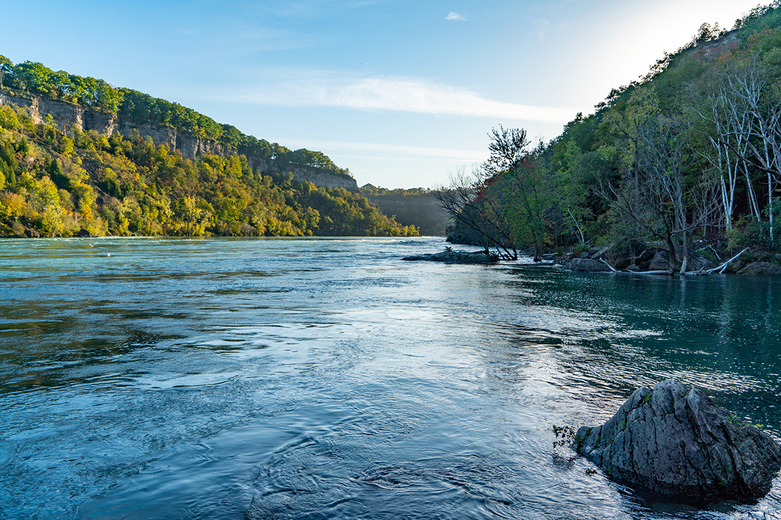 A natural area with a river and lots of trees.