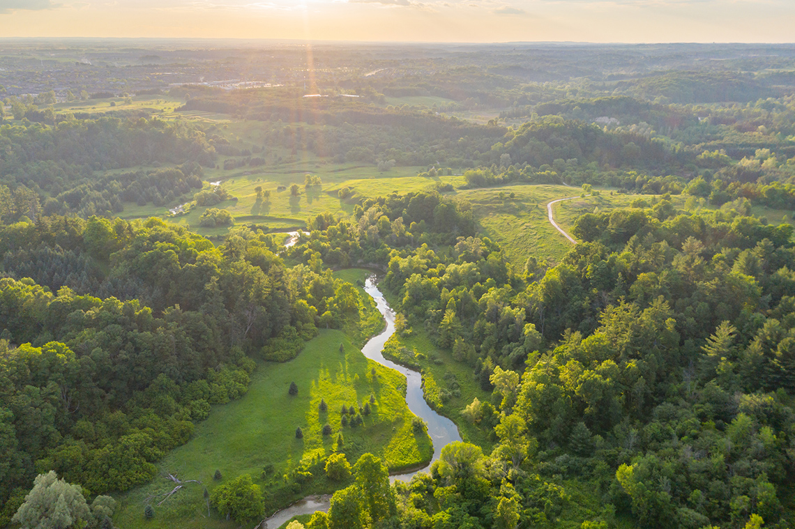 A large natural area at sunset. There is a river going through the area and lots of trees.