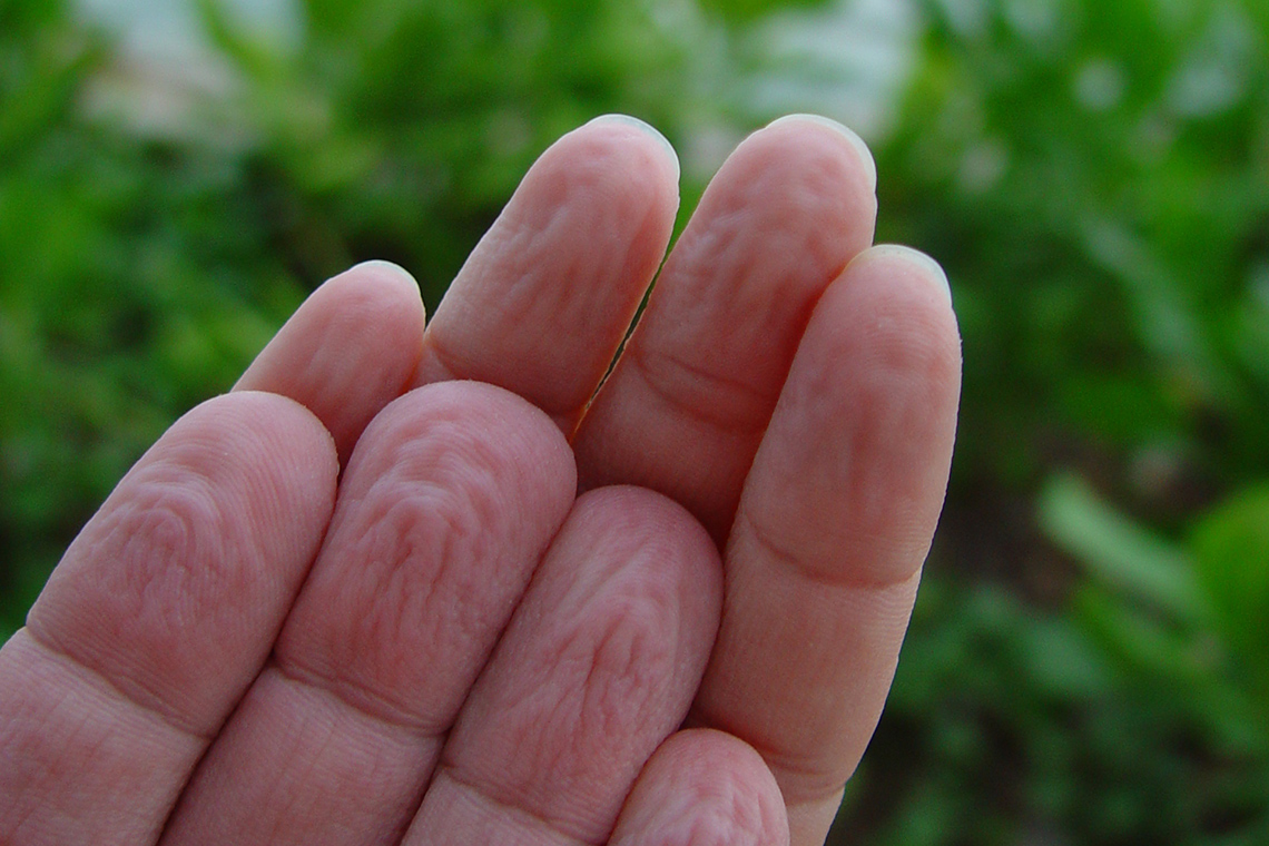 Wrinkled fingers.