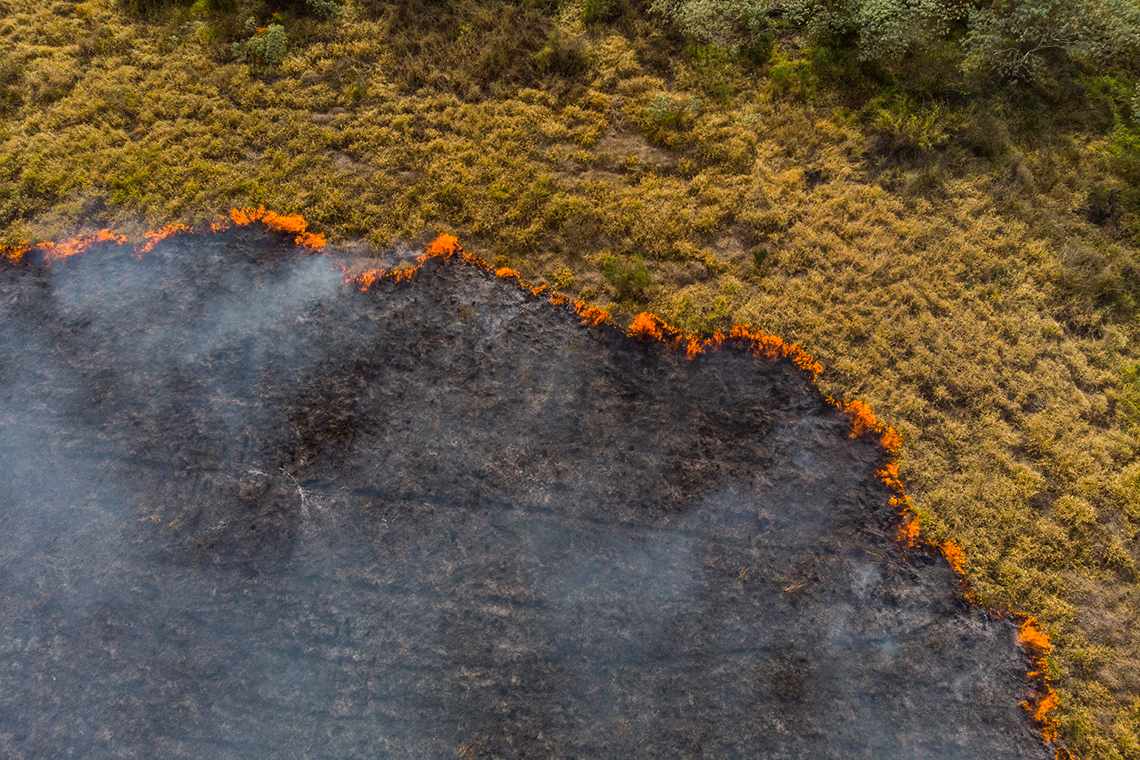 A forest fire burning through a forested area.