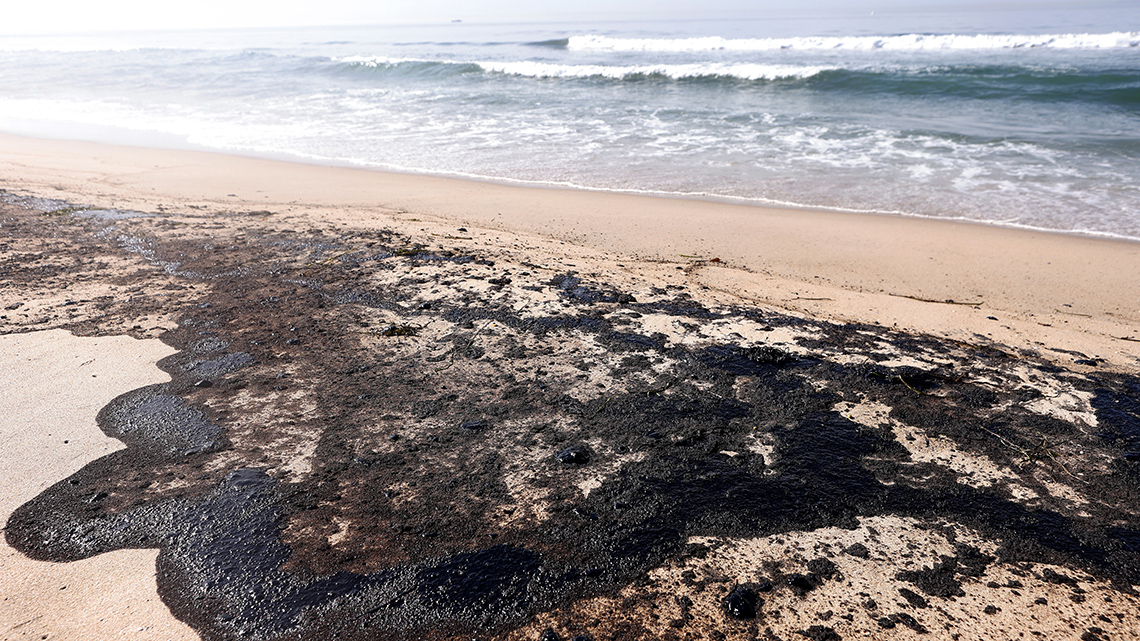  A beach where oil has washed onto shore.