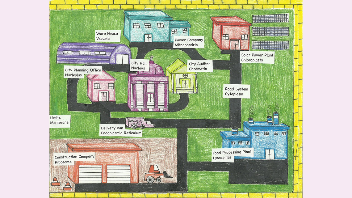 A drawing of a cell as a city with buildings and roads.