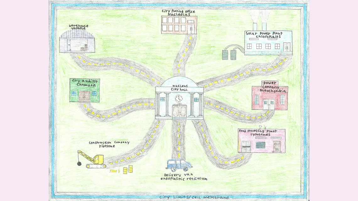 A drawing of a cell as a city with buildings and roads.