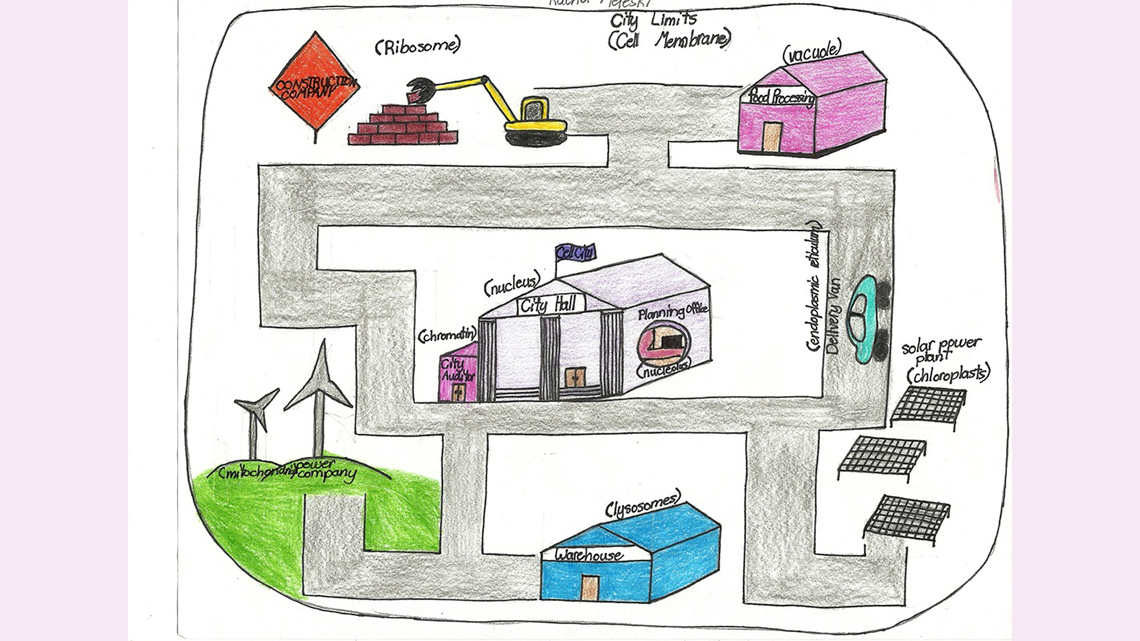 A drawing of a cell as a city with buildings and roads.