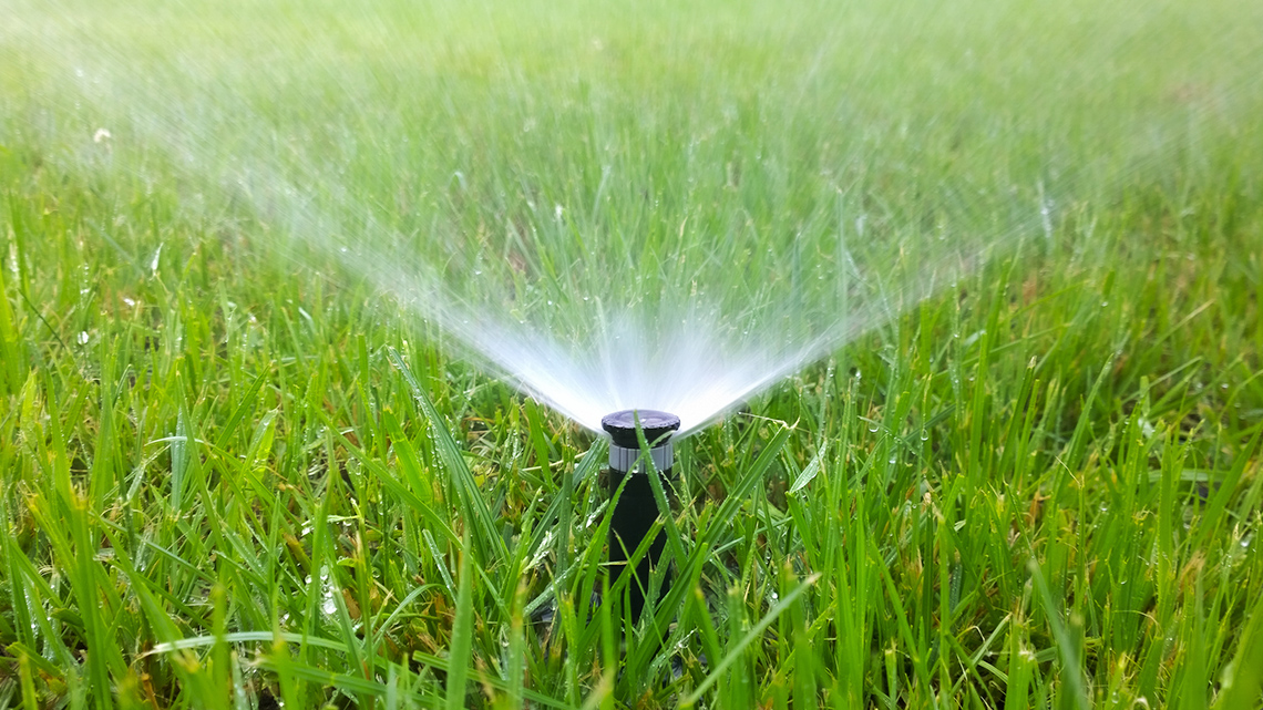 An irrigation sprinkler spraying water on grass.
