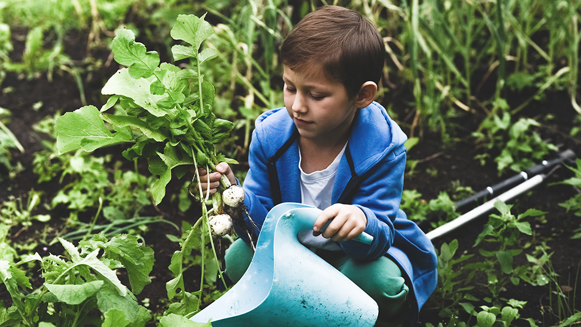 Person working on planting and caring for vegetable crops in a field.