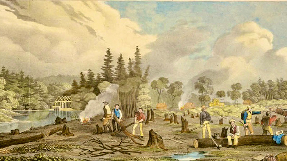 This is an image of an area that has been cleared for a settlement.