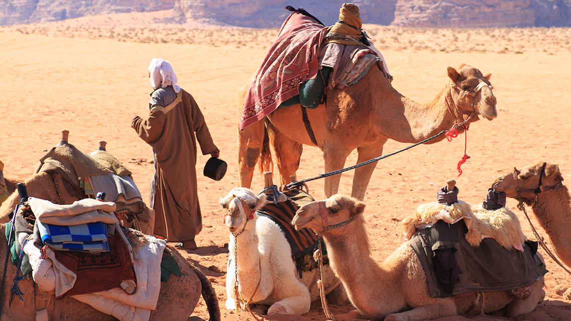 Bedouin community resting with camels in Wadi Rum, Jordan, where the land is sandy and flat.