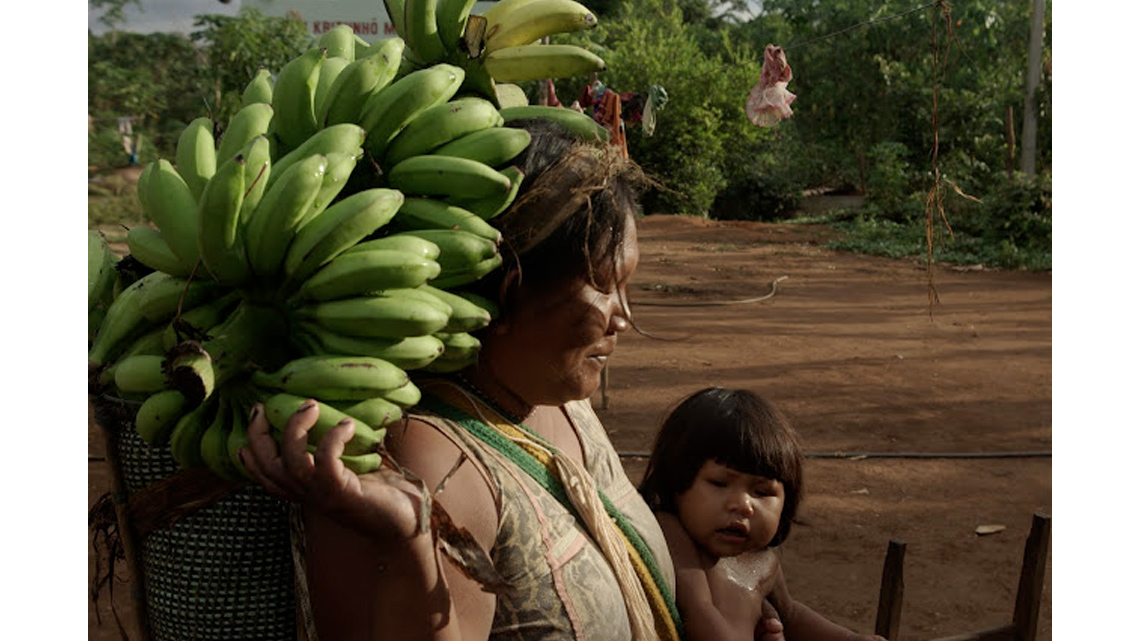 Parent and child walking with a branch that is covered with approximately 40 to 50 bananas.