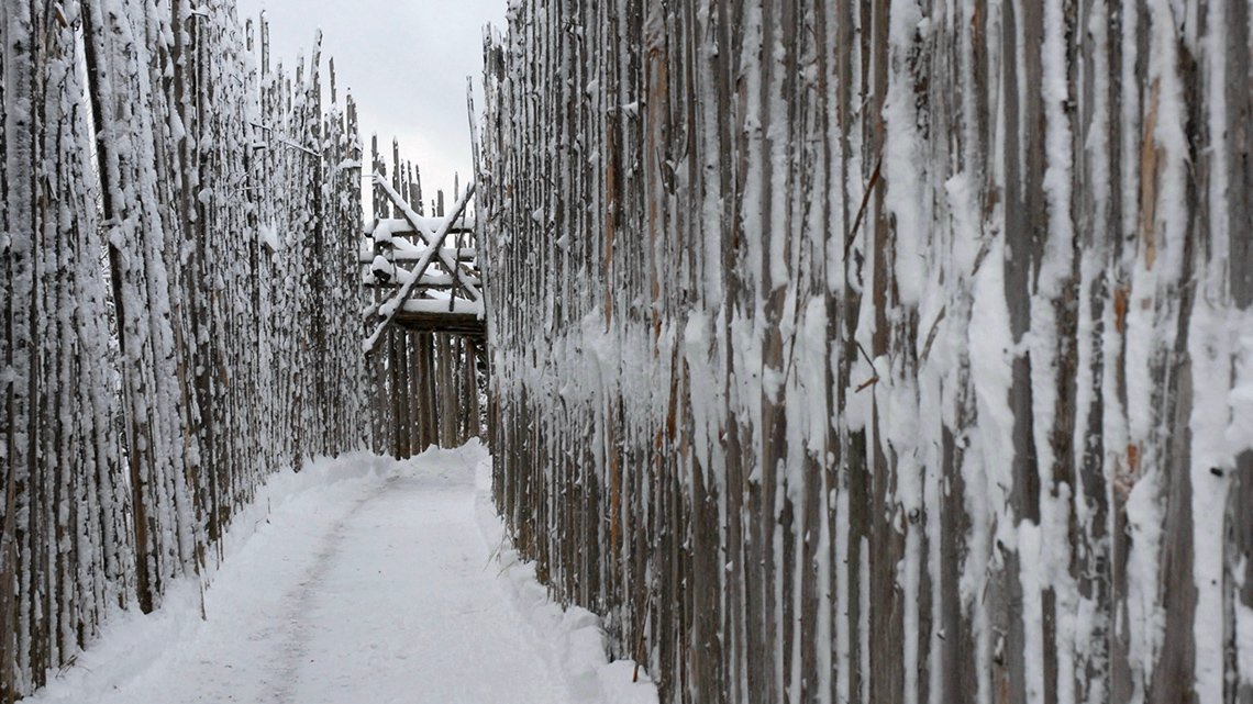 Haudenosaunee walled structure Tall wooden walled structure around the Haudenosaunee village.