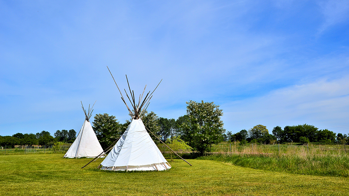 Teepees A group of Cree teepees in a low-lying grassy field.