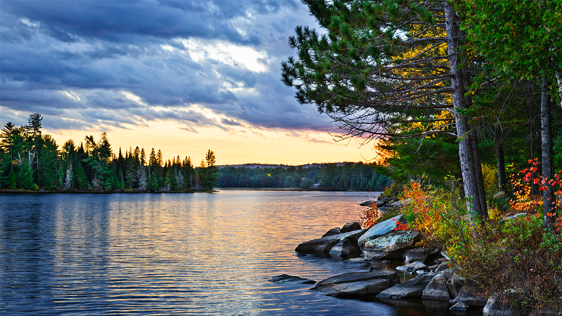 The image shows a lake in Algonquin National Park with trees is reflecting on the water.