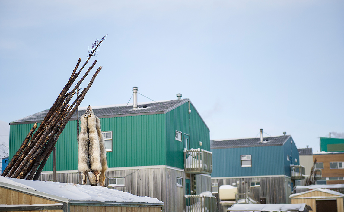 Buildings with furs hanging outside in Kangiqsualujjuaq, Nunavik