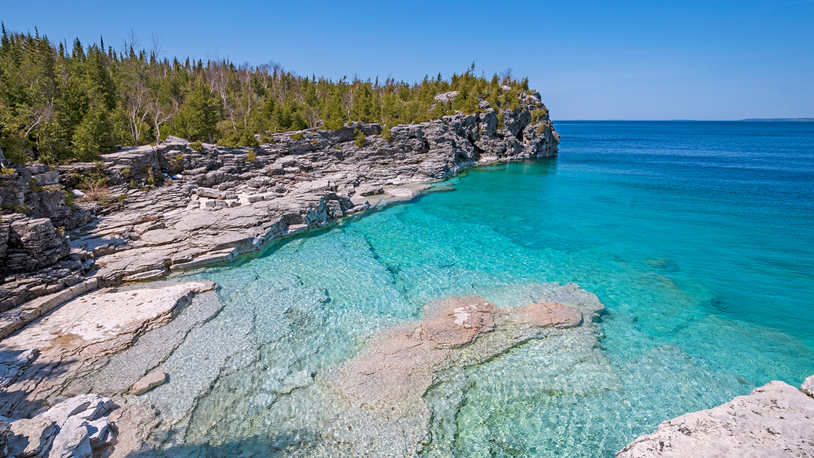 A rocky beach where the water is shallow. There are many different trees.