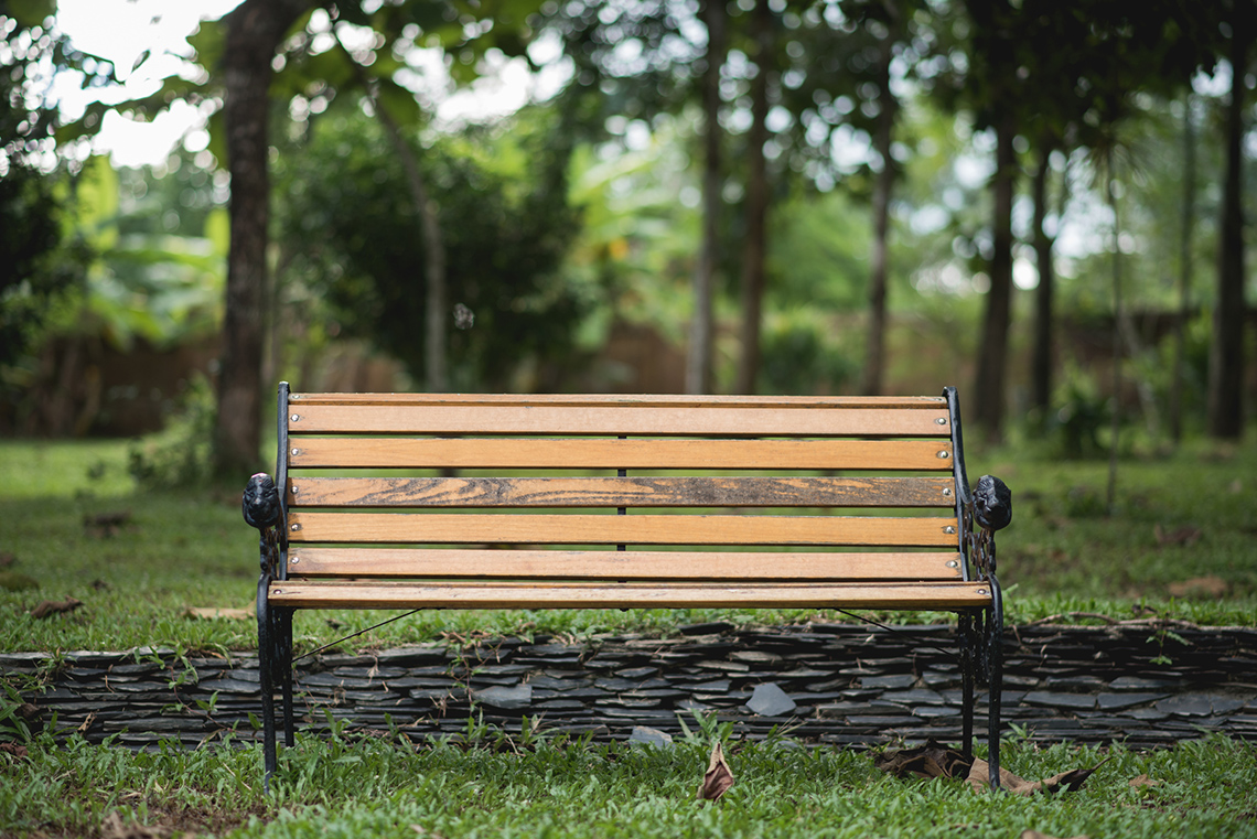 A park bench surrounded by trees, and leaves covering the ground.