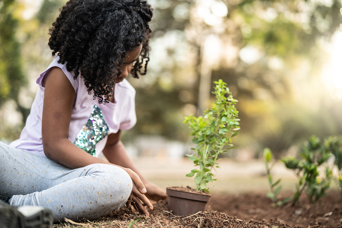 A child planting a small tree.