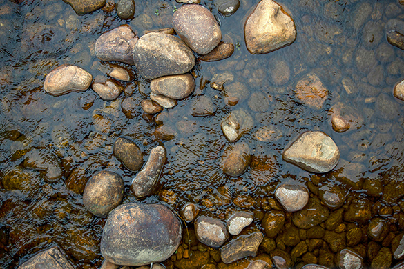 Some rocks in a shallow stream of water.