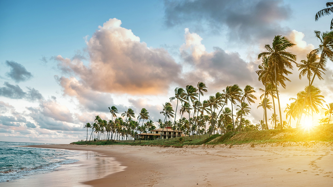 Sunset at a Tropic Beach The sun is setting behind palm trees on a sandy tropical beach.