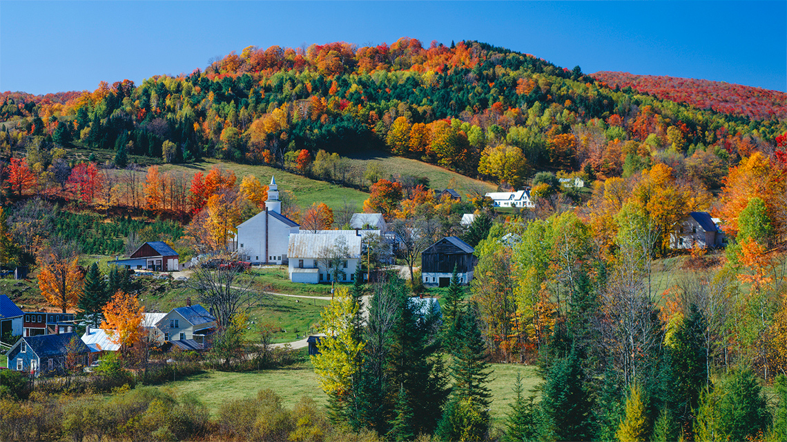 There is lots of land and space between homes.  There is one major street with trees and large field spaces between homes and farmland