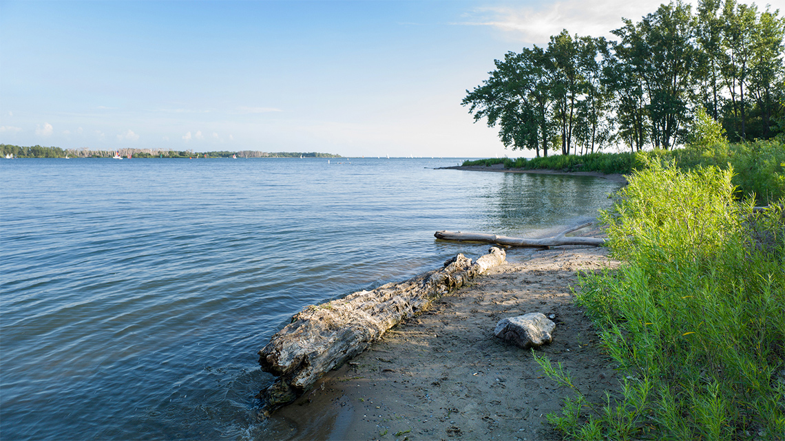 There is s small surface of sand with a large log facing Lake Ontario. There are some trees in the background.