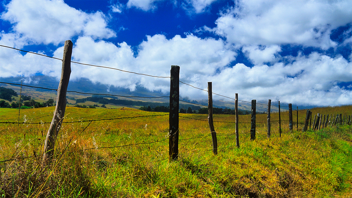 A large flat field area with a wooden fence to keep trespassers out. There are large clouds in the sky in the background.