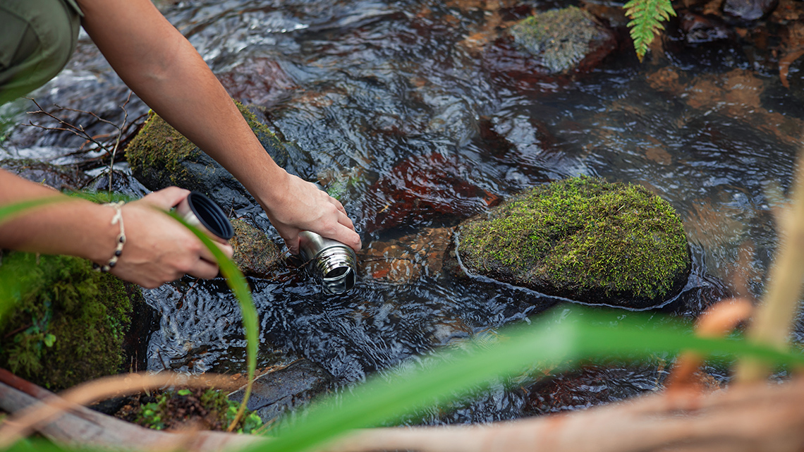 A set of hands gathering water from a river with a metal container.