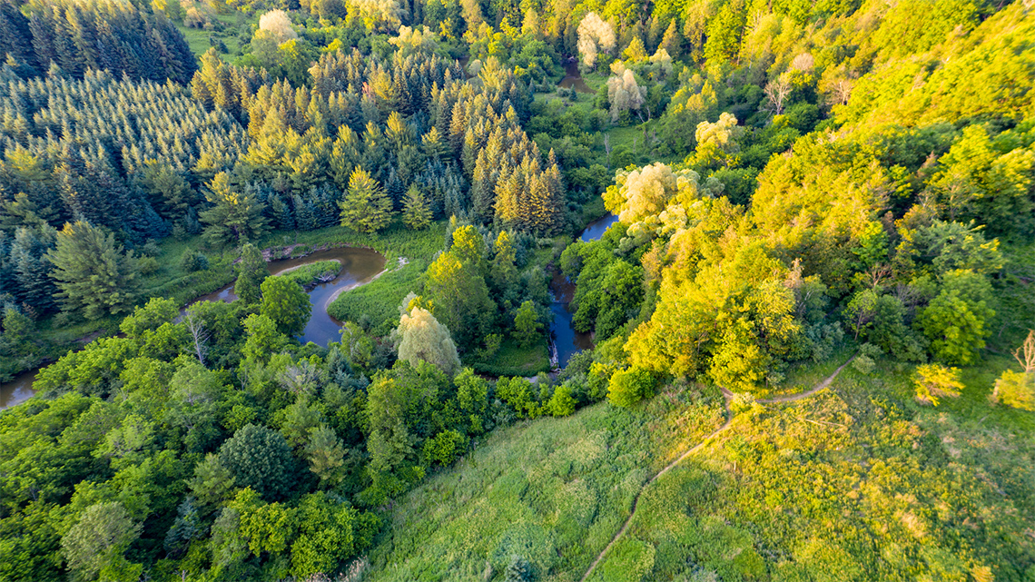 Aerial view of a grassy hill overlooking a creek winding through a forest.